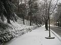 Neve (78)